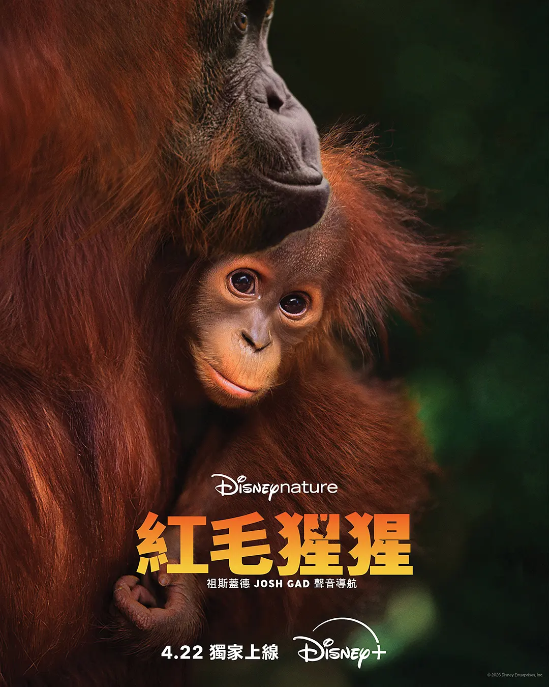 《红毛猩猩》超清蓝光1080P夸克资源《红毛猩猩》无删减4K完整版下载